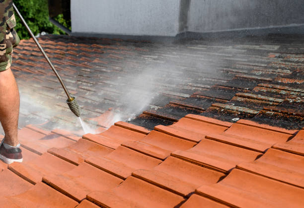 Best Commercial Building Pressure Washing  in Calcutta, OH