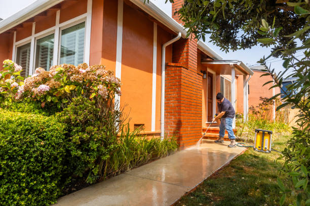 Best Pressure Washing Driveway  in Calcutta, OH